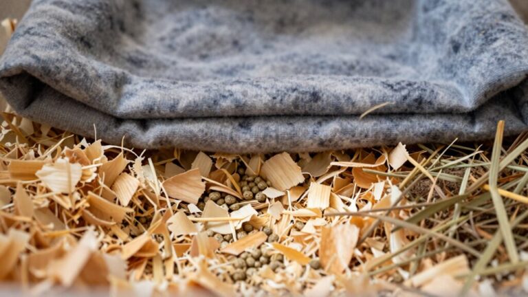 bedding hideout food water