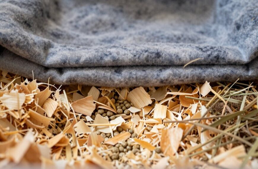 bedding hideout food water