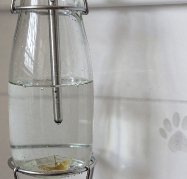 daily water change recommended