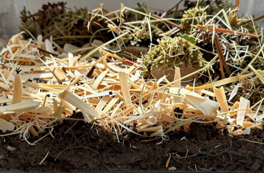 natural digging layers mix
