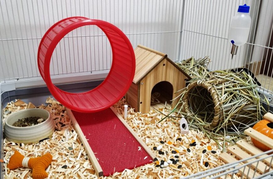 spacious safe enriched comfortable habitat