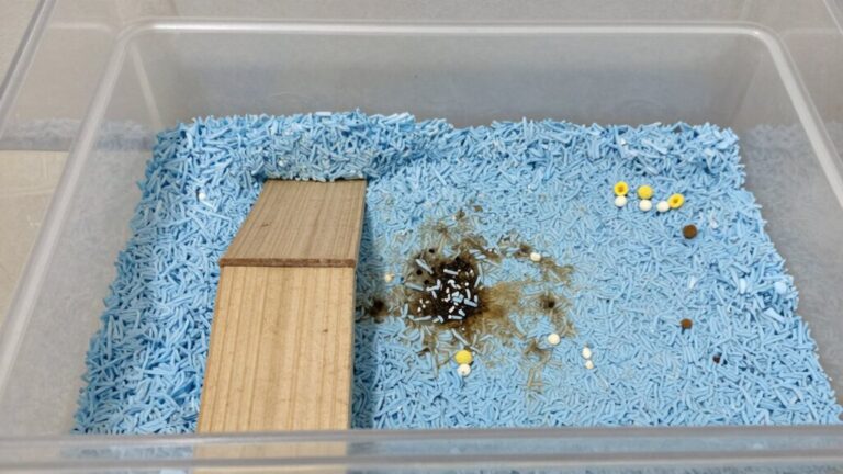 train hamster pee spot